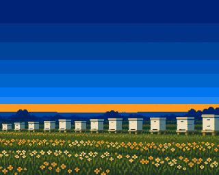 Back screen: the apiary in summer